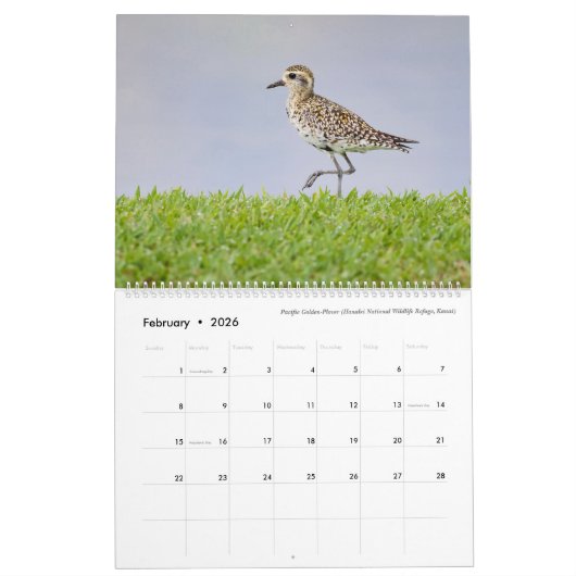 Oiseaux d'Hawaï - Calendrier 2023 (Feb 2026)