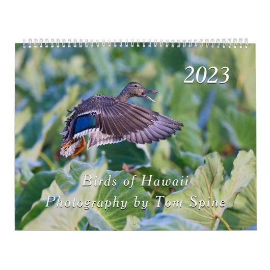 Oiseaux d'Hawaï - Calendrier 2023 (Protection)