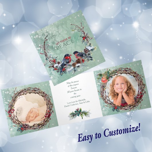 Oiseaux d'hiver Pine Wreath Modèle photo Noël