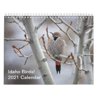 Oiseaux d'Idaho ! Calendrier 2021