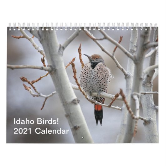 Oiseaux d'Idaho ! Calendrier 2021 (Protection)