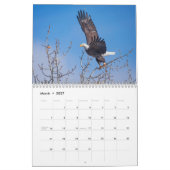 Oiseaux d'Idaho ! Calendrier 2021 (Mar 2027)