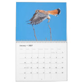 Oiseaux d'Idaho ! Calendrier 2021 (Jan 2027)
