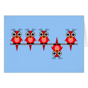 oiseaux drôles