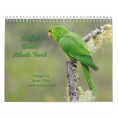 Oiseaux du calendrier atlantique de la forêt du (Protection)