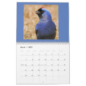 Oiseaux du calendrier atlantique de la forêt du (Mar 2027)