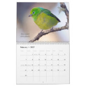 Oiseaux du calendrier atlantique de la forêt du (Feb 2027)