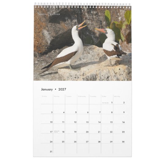Oiseaux du calendrier de Galapagos (Jan 2027)