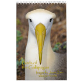Oiseaux du calendrier de Galapagos (Protection)