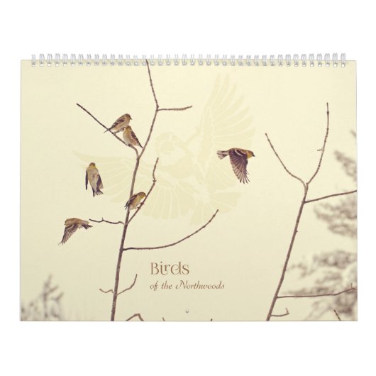 Oiseaux du calendrier de Northwoods (Protection)