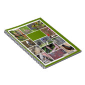 Oiseaux du Carnet de Boston (Côté Droit)