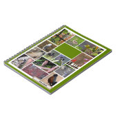 Oiseaux du Carnet de Boston (Côté gauche)