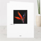 Oiseaux du Paradis dans Vase du Coeur sur carte bl (Dos)