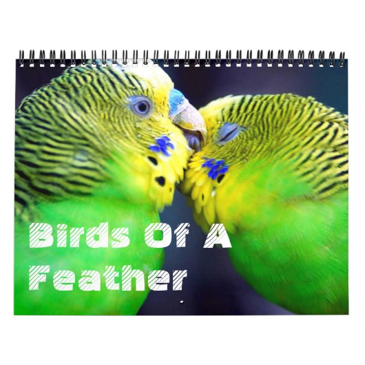 Oiseaux D'Un Calendrier De Plume (Protection)