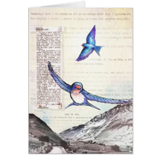 Oiseaux d'une vallée de Gallois