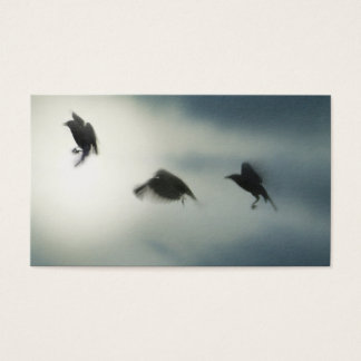 Oiseaux en mouvement