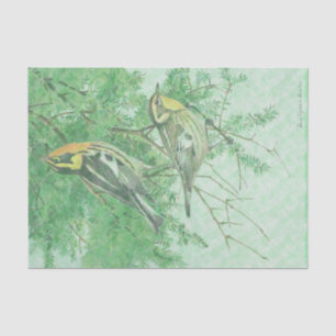 Oiseaux en papier de soie de soie de branches