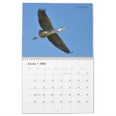 Oiseaux en vol 12 mois calendrier (Jan 2026)