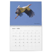 Oiseaux en vol 12 mois calendrier (Mar 2026)