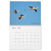 Oiseaux en vol 12 mois calendrier (Feb 2026)
