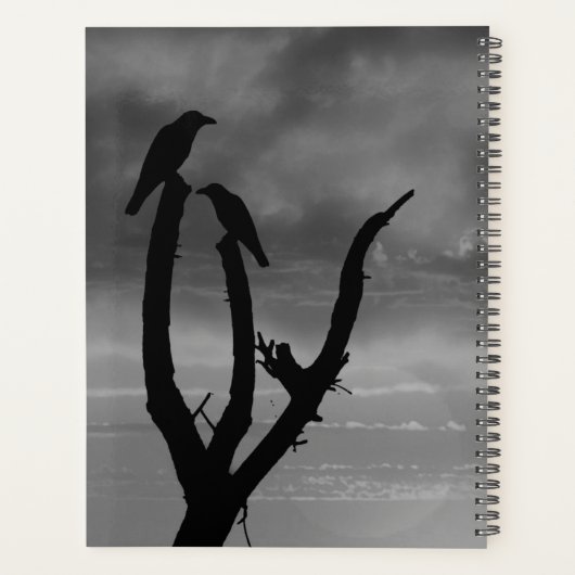 Oiseaux et coucher de soleil (Dos)