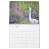 Oiseaux et fleurs calendrier de 12 mois (Mar 2026)