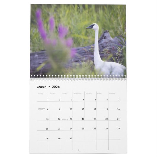 Oiseaux et fleurs calendrier de 12 mois (Mar 2026)
