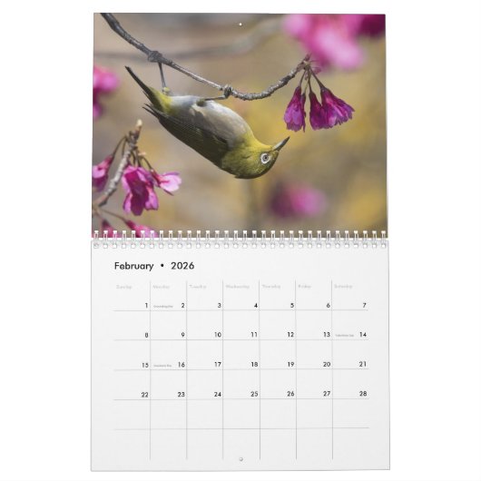 Oiseaux et fleurs calendrier de 12 mois (Feb 2026)