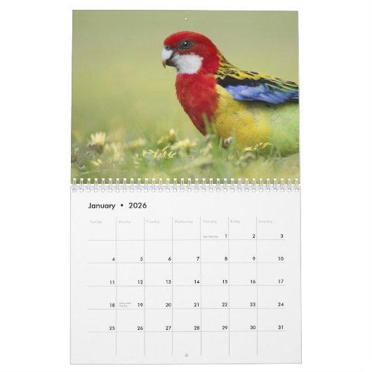 Oiseaux et fleurs calendrier de 12 mois (Jan 2026)