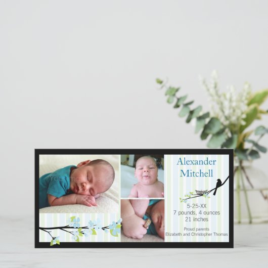 Oiseaux et fleurs dans le Faire-part de naissance (Debout devant)