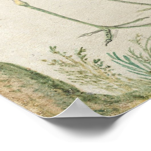 Oiseaux et singes - Jan van Kessel Poster d'art (Coin)