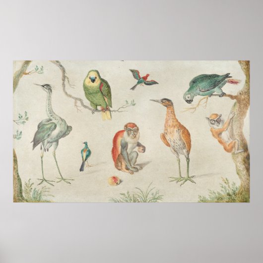Oiseaux et singes - Jan van Kessel Poster d'art (Devant)