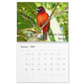 Oiseaux exotiques du calendrier 2014 de l'Amérique (Feb 2026)