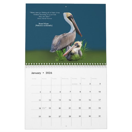 Oiseaux fabuleux calendrier de 12 mois (Jan 2026)