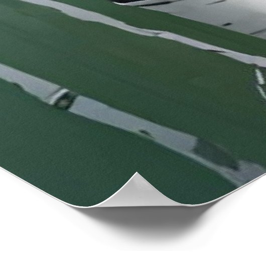 Oiseaux Imprimer Poster de la nature moderne (Coin)