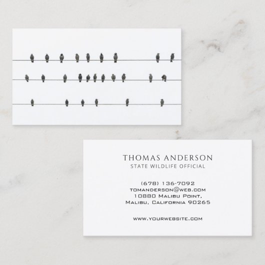 Oiseaux minimaux simples sur fils| Carte de visite (Devant / Derrière)