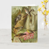 Oiseaux nord-américains | Carte tzel Gustav Mü (Fleur jaune)