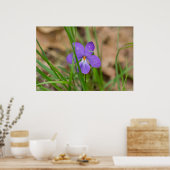 Oiseaux Pied Violet dans l'Herbe Poster (Cuisine)