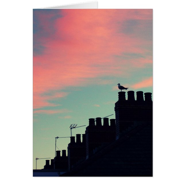 Oiseaux primitifs (Devant)