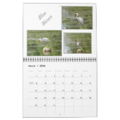 Oiseaux sauvages du Minnesota Calendrier 2025 (Mar 2026)