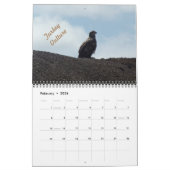 Oiseaux sauvages du Minnesota Calendrier 2025 (Feb 2026)