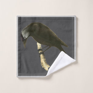 Oiseaux sauvages - Le Corbeau