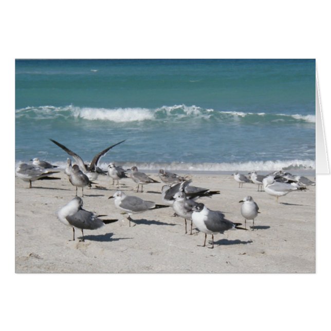 oiseaux sur la plage océanique (Devant horizontal)