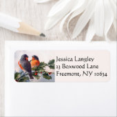 Oiseaux sur les étiquettes d'adresse de retour de (En situation)