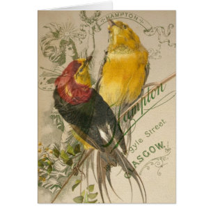 Oiseaux sur photo Vintage Retour