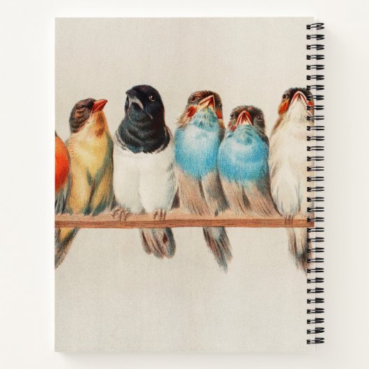 Oiseaux sur un Carnet de perches (Dos)