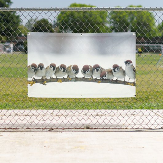 OISEAUX SUR une bannière de BRANCHE (En situation)