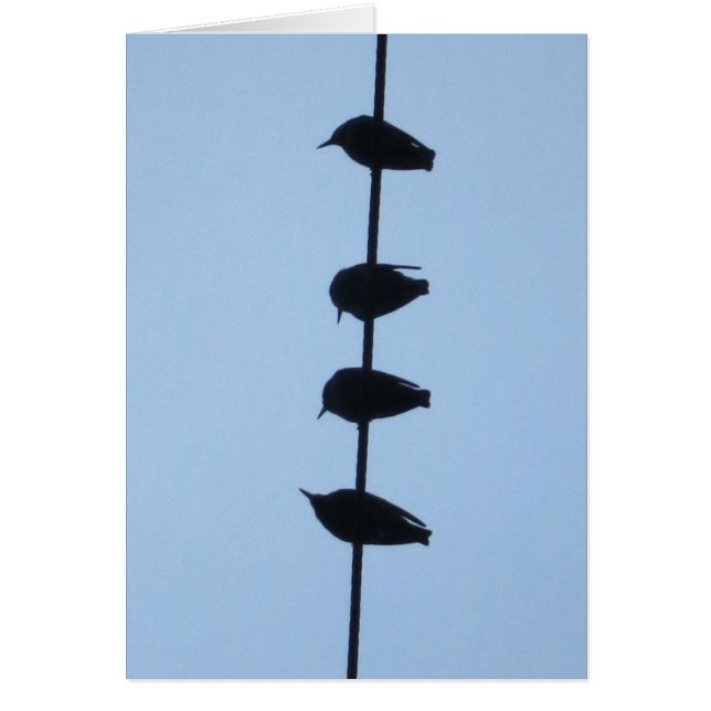 Oiseaux sur une ligne 1 (Devant)