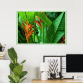 Oiseaux tropicaux 36 x 24 Poster (Bureau à domicile)