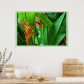 Oiseaux tropicaux 36 x 24 Poster (Cuisine)